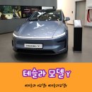 차알못도 탐나는 테슬라, 모델X, 모델Y 실물후기 (여의도 스토어)