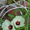 골안농장 이미지