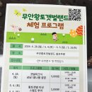 무안생태갯벌사업소 | [무안캠핑#2] 전라남도 무안황토갯벌랜드 무안생태갯벌과학관 후기!
