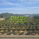안성맞춤IC공인중개사사무소 이미지