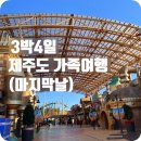 2023년 11월의 3박 4일 제주도 여행 후기 (4일차 )