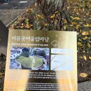 더불어락두부마을협동조합 | 용담1동 부러리별식의 제주식 반찬가게가 비룡못 터에 있다