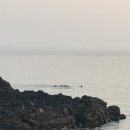 모레민박
