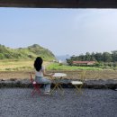 뻔뻔오락실 | 아기와 함께한 제주도여행-2일차
