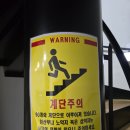 음악이흐르는숲 | 용인 자작나무숲 가을꽃축제 야간개장 할로윈 베툴라카페 후기