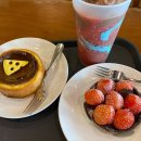 초콜렛스위트 이미지