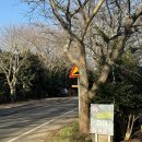 삼달리이야기 | 제주 성산 숙소 추천/ 삼달리 이야기