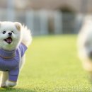 모나코펜션 이미지