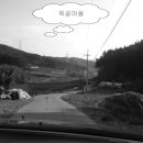 황촌리.육골 Daum카페