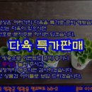 영광다육