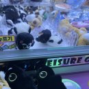 양파인형뽑기 이미지