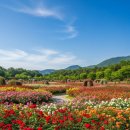 울산푸른실사