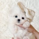 광산구-045 이미지