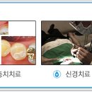현치과의원 이미지