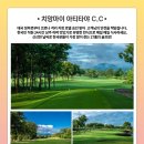부라보여행사