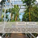 한밭과일 | 대전 한밭수목원 열대식물원 아이와 실내 가볼만한곳