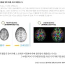창조데칼 이미지