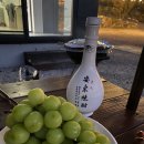 대하목장 이미지