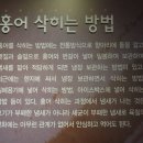 영산홍어 주식회사 이미지