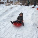 청솔농장 이미지