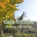 파주로 은행나무길 이미지