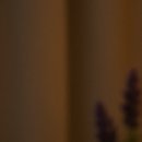 이시아이비인후과의원 이미지