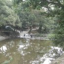 호계리~마곡사 이미지