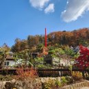 수동면 수산1리 이미지