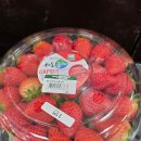 홈플러스 전주점 | 전주 홈플러스 대체 찾다가 알게된 전주 세이브존 장보기 후기