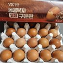 유정농장 | 알로팜농장 동물복지 유정구운란 맥반석 계란