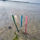 티제이컴퍼니 이미지