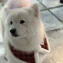 겨울이머무는집