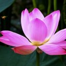 양산호수공원 이미지