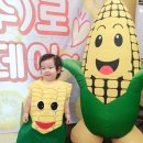 🌽옥수수체험🌽 이미지