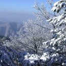 휘닉스파크의 겨울풍경과 눈꽃을 담아왔습니다. 이미지