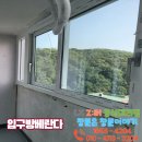 계룡(삼환) 이미지