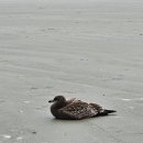 포시즌펜션 이미지