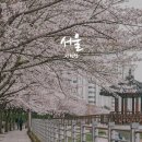 당현천 근린공원(동일로 1328-1) 버스정류장 | 당현천 따라 천천히 걷는 봄, 동네 벚꽃 구경