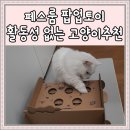 <b>페스룸</b> 팝업토이 활동성 없는 고양이 장난감으로 딱 좋아