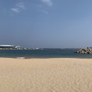 속초아바이신다신 이미지