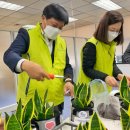 친환경 화분 만들기 이미지