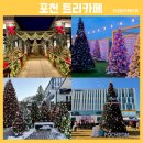 포천시청 | 포천 크리스마스 대형트리카페 고모리691 어가길베이커리 트랜블루 포천시청 방문후기