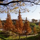 나룰초등학교 옆 이미지