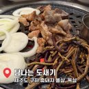 세화탐나는도새기 | [구좌 맛집] 꼬들살과 목살이 있는 탐나는 도새기, 내돈내산 솔직후기
