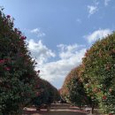 선양목장 이미지