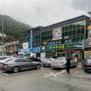 김천 김밥축제 1회 다녀와봤습니다.