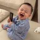 🍼9개월 육아일기 (274일~304일) : 성장, 발달, 놀이, 홈플러스 문화센터, 후기 이유식