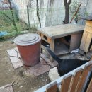 우정카정비 이미지