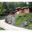 장흥숲길캠핑장 이미지