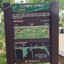 내당2.3동행정복지센터 | 대구 서구 무료 장미 명소 강아지랑 산책하기 좋은 그린웨이 장미원